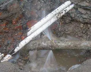 新都水管维修费用是多少