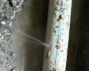 新都卫生间测漏水多少钱