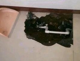 新都卫生间测漏水多少钱
