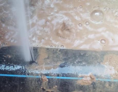 新都卫生间防水哪家好